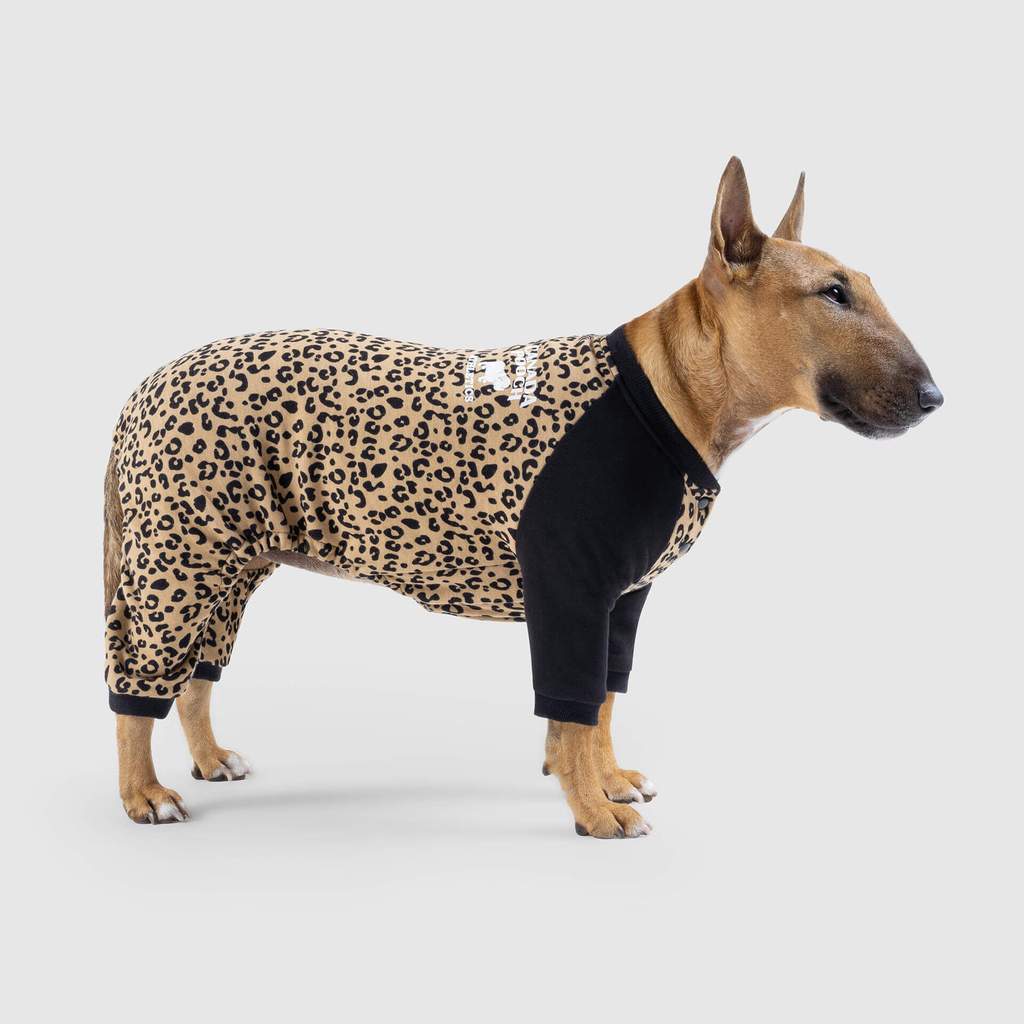 Find the best stores to buy Canada Pooch Frosty Fleece Sweatsuit Leopard  (20) Canada Pooch